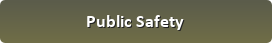 Link to Public Safety Committee page