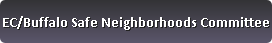 Safe Neighborhoods Committee