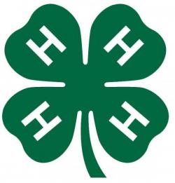 4-H logo larger