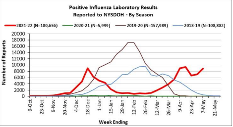 Graph showing positive influenza lab results in NYS across 2018-2021 flu seasons, with "double peak" in 2021-2022