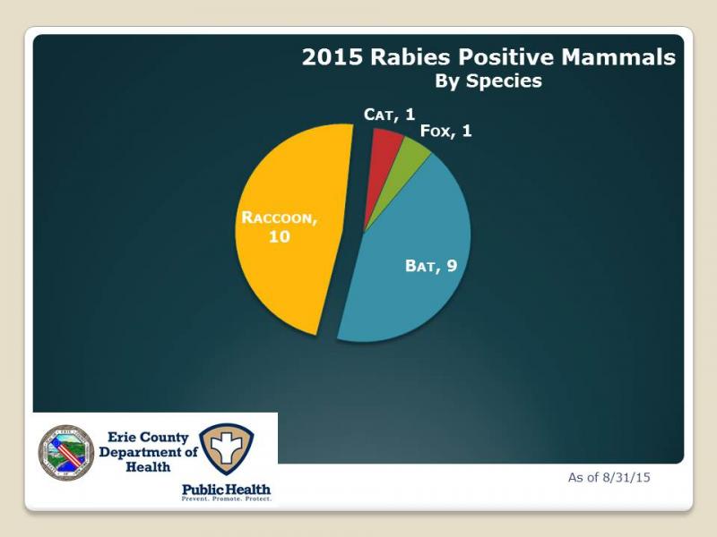 Graph of rabid animals
