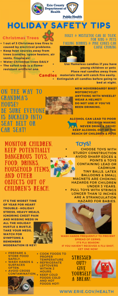 Infograph of Holiday Safety Tips