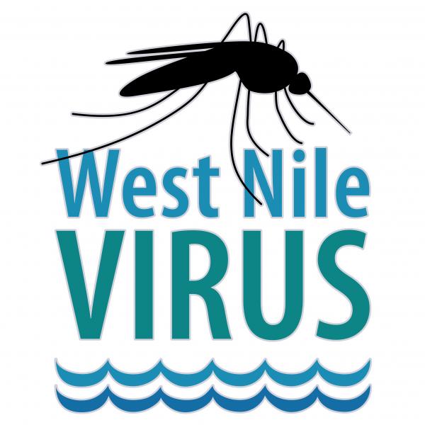 West Nile virus graphic